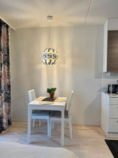 Tilava yksiö hyvällä sijainnilla - 9