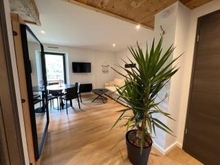 Superbe appartement neuf avec Sauna privé & Terrasse vue sur la montagne - La Bresse - 5