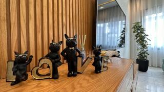 Chic Family Place - by AppartAli - Casablanca - 1