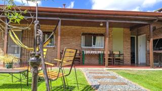 Las palmeras - Villa Lía - 1