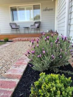 Ailsafield - Home in the heart of Mansfield - Mansfield - 1