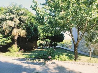 Porto Zelenika - Podgorica - 2