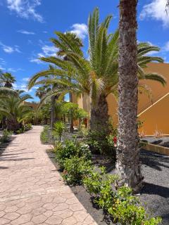 B-Rent Casa Angela pool view - Corralejo - 7