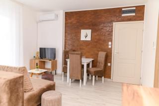 Sunflower Apartmani - Soko Banja - 4
