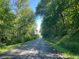 Perfect for Nature Lovers - 5