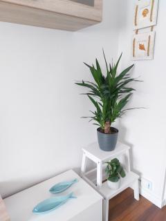 Campus Home - Gijón - 4