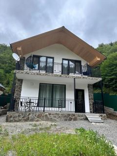 House Of Love - Borjomi - 0