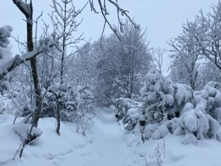 Le Chalet du Hohwald - 3