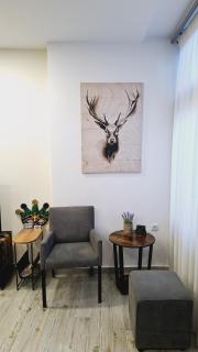 THOMAS LUXURY APARTMENT in the historical center of Ioannina - Ioannina - 8