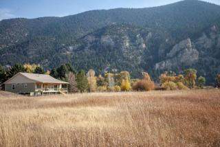 Evergreen - Livingston - 9