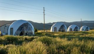 Dome #3 - Livingston - 1