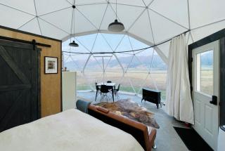 Dome #2 - Livingston - 6
