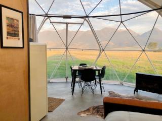 Dome #2 - Livingston - 5