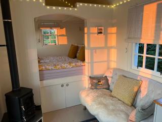 Tiny House outstanding natural beauty off grid - Tamerton Foliot - 5