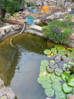 Pond Cottage - 1