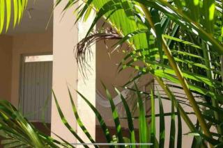Casa para temporada nakamura home olímpia - Olímpia - 6