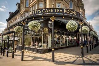 The Nook Central Harrogate Apartment with Parking - Harrogate - 1