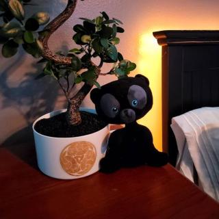 Amazing Star Wars & Disney Vr Gaming House! - 7