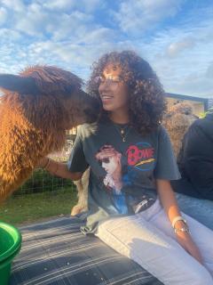 slapen bij alpacas - 1