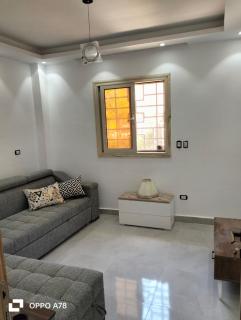 younan house - 1