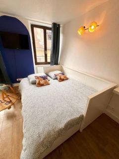 Studio MILOS cosy hypercentre historique Thonon - Thonon-les-Bains - 9