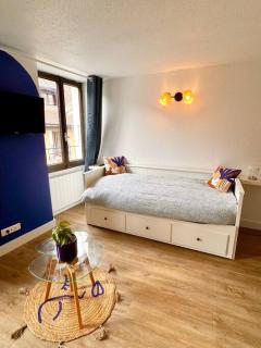 Studio MILOS cosy hypercentre historique Thonon - Thonon-les-Bains - 7