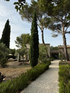 Les Feuilleres - LʼIsle-sur-la-Sorgue - 7