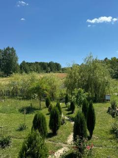 BLIM Restaurant Cazare Sound of Nature - Baia de Fier - 8
