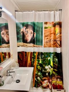 Paris -Vitry-sur-Seine - 8