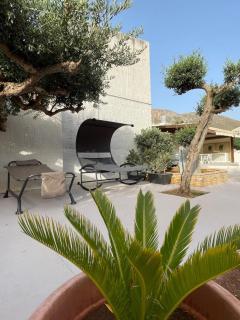 Olea - Castelluzzo - 3