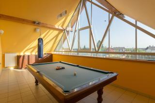 Pool Villa Izabela With Wellness - Happy Rentals - Križevci pri Ljutomeru - 4