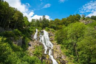 Gemütliches Schwarzwaldhaus im Ferienparadies Todtnau - Todtnau - 2