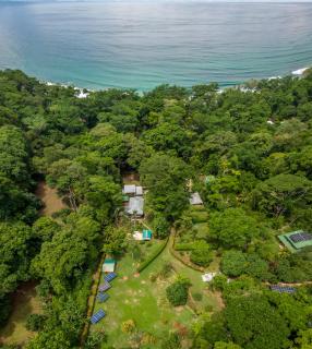 Surfsidelodge - Cabo Matapalo - 0