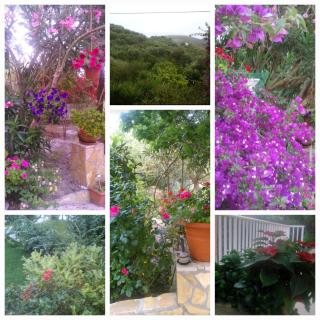 Rosemary holiday home - Argassi - 7