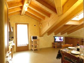 Apartments & Rooms MyHolidayLivigno - Livigno - 8