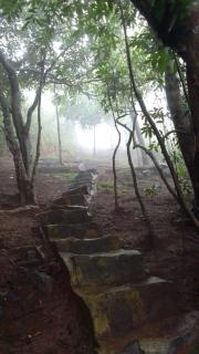 Bathle Eco Resort - 1