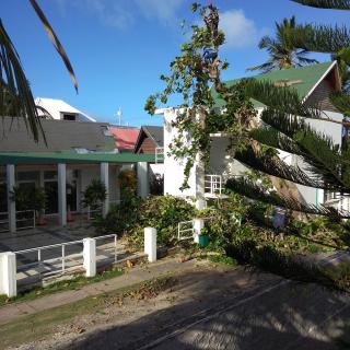 Caribbean Queen - Apartamento con vista al Jardin #1 - San Andrés - 8