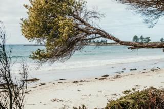 Hilltop - Port Fairy - 6