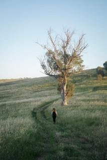 Fig Tree Retreat - - 8