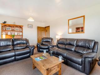 Uk47550 - Cairnsmore Cottage - Newton Stewart - 8