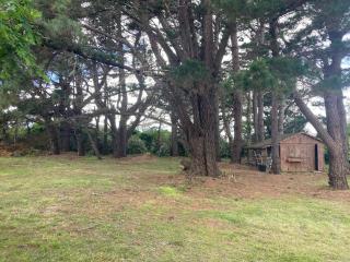 Maison cosy à Locmaria, 6 pers, 1 km plage, grand jardin, animaux ok - FR-1-418-256 - 2
