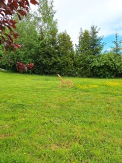 Im Herzen des Hotzenwalds - 1