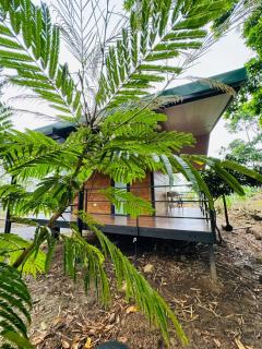 Cabañas La Hermosa #1 - Guápiles - 5