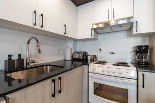 City Center, 2 bathroom, AC, Parking, Pool - Quebec City - 9