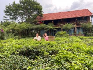 Tea Garden House - 9