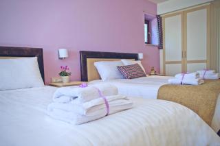 Arktos Hotel - Ioannina - 4