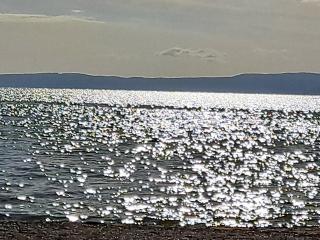Charming 1-Bed Apartment in Troon - Troon - 2