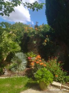 Maison verdure & calme - Castries - 7