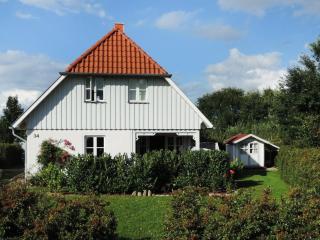 Strandkörbchen - Groß Schwansee - 5