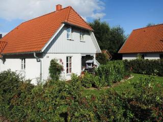 Strandkörbchen - Groß Schwansee - 4
